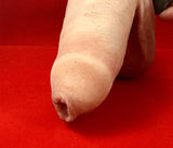 Oz FTM STP 2&1 STP Uncircumsized Prosthetic