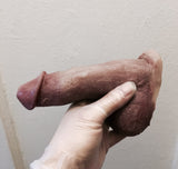 "Enzo"  FTM STP 3&1 6.5" Prosthetic