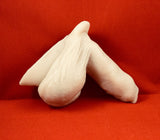 Zac FTM STP 2&1 STP Uncircumsized