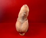 Oz FTM STP 2&1 STP Uncircumsized Prosthetic